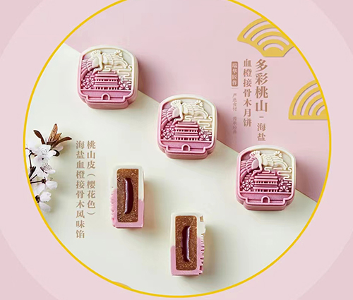 郴州血橙接骨木月饼
